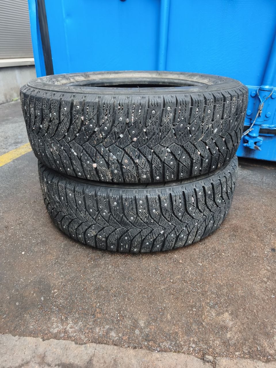 Triangle Icelink 96T 205/60R16 Naastrehvid